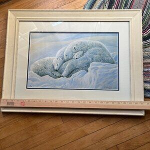 Limited edition 3/100 -  framed print - Robert Pow - Mother Polar Bear - Signed
